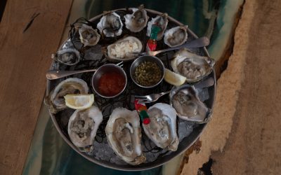 The Best Oysters in San Diego at Saltwater